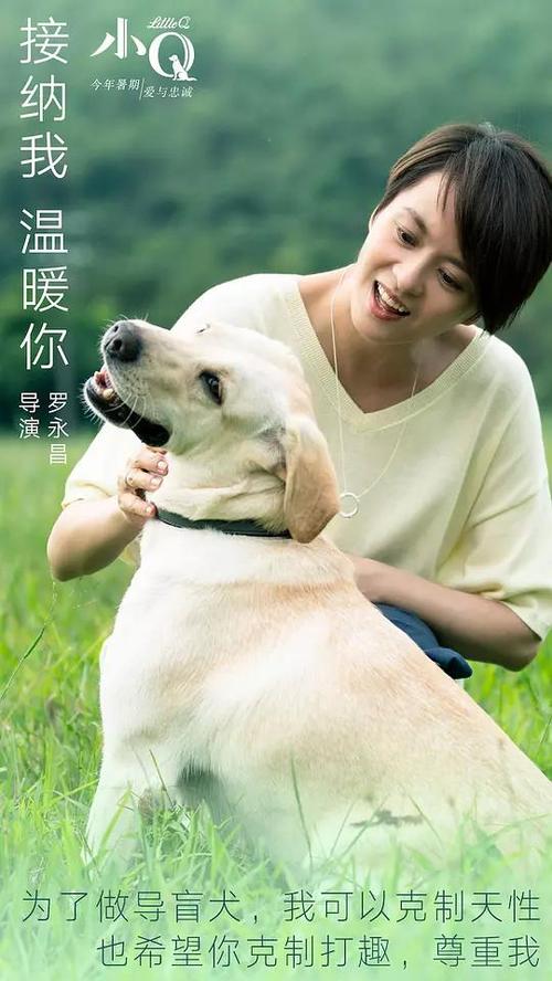 办理假波多黎各天主教大学文凭毕业证